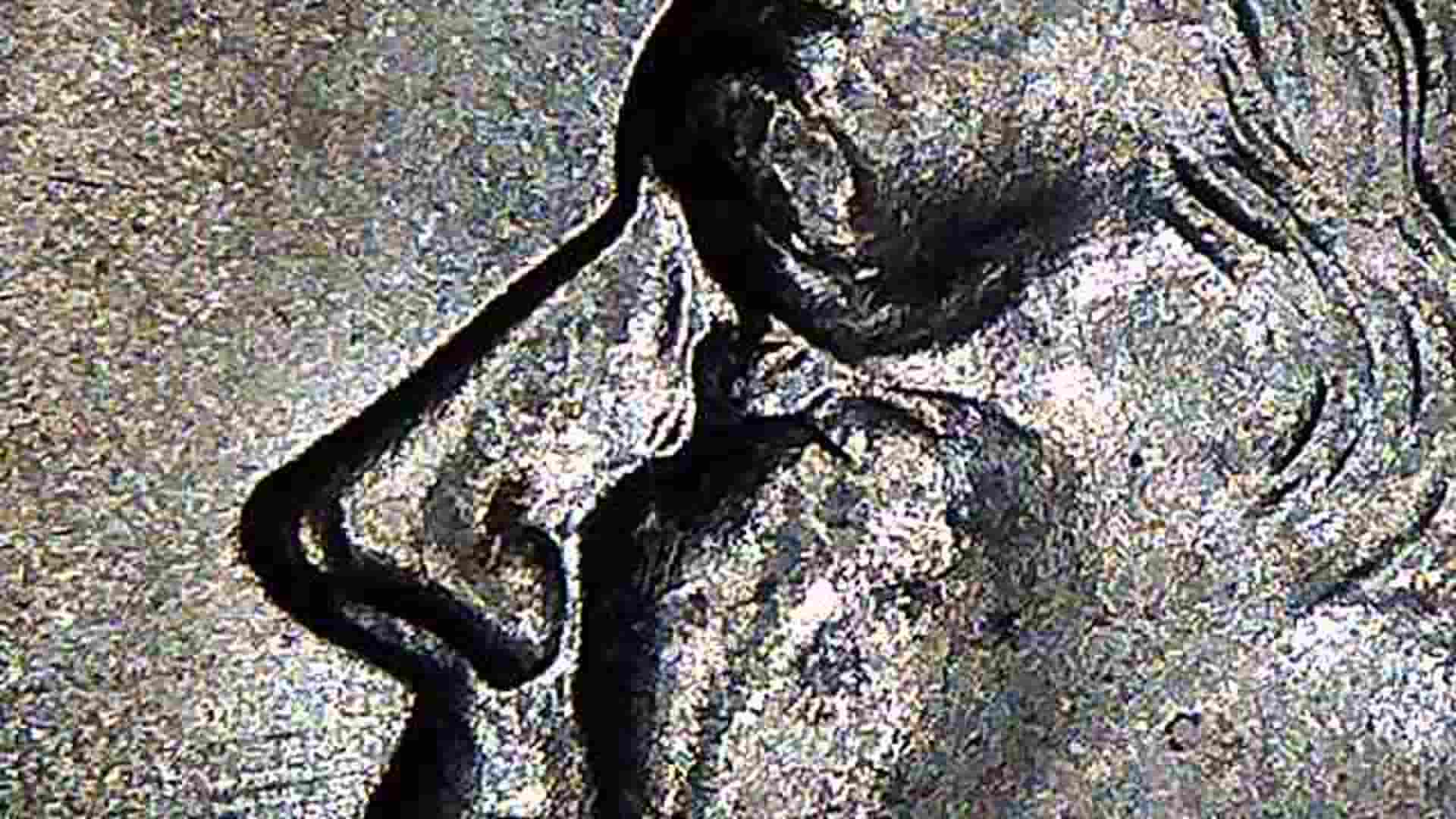 1995-Kennedy-Half-Dollar-What-Is-Going-On?